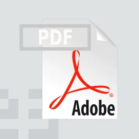 Adobe Acrobat File Pdf 04